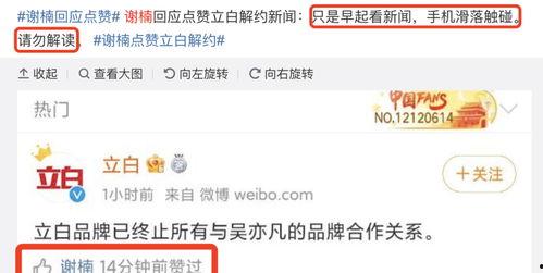 吃瓜头条爆料不断,娱乐圈风云再起，真相揭秘！