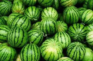 网络大师吃瓜群