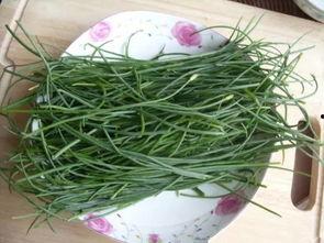 瓜州吃瓜什么梗,揭秘网络热梗背后的故事与影响