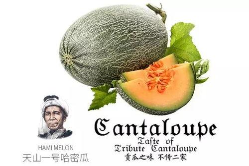 吃瓜综合号,吃瓜综合号带你领略明星幕后故事