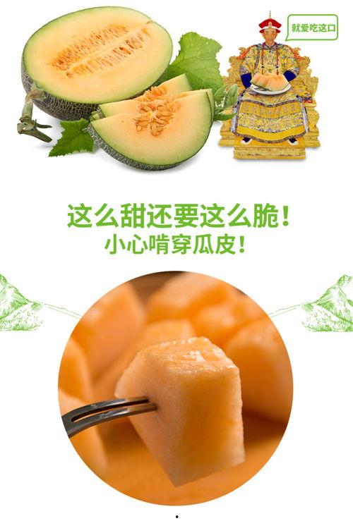 吃瓜综合号,吃瓜综合号带你领略明星幕后故事