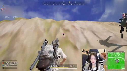 吃鸡打小瓜,吃鸡大战一触即发