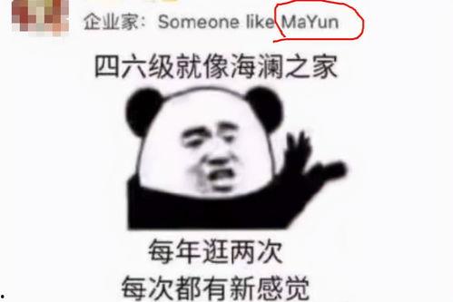 带你吃瓜神翻译,带你领略“吃瓜群众”的独特魅力