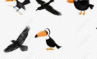 乌鸦吃瓜图片卡通