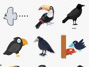 乌鸦吃瓜图片卡通