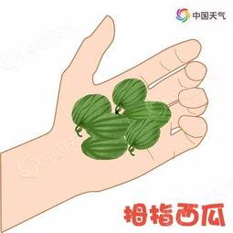 飞院吃瓜,揭秘校园吃瓜背后的故事