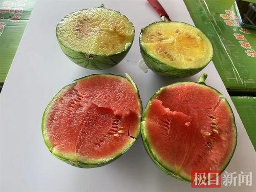 飞院吃瓜,揭秘校园吃瓜背后的故事