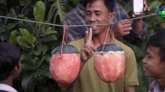 外国活人被吃瓜,外国活人遭遇神秘吞噬事件，真相令人胆寒