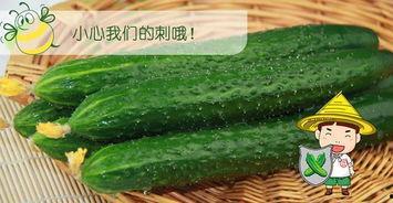 吃瓜六组,一场关于娱乐圈的全民狂欢