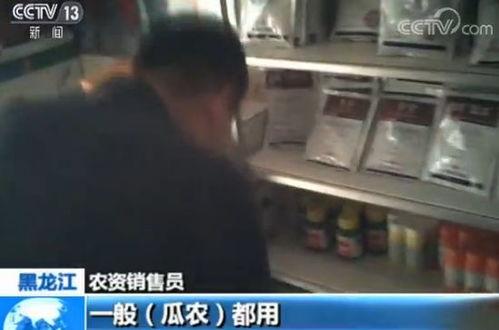 快递群众吃瓜图片,揭秘网络热图的背后故事