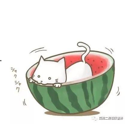 qq吃瓜快乐屋,网络社交新潮流